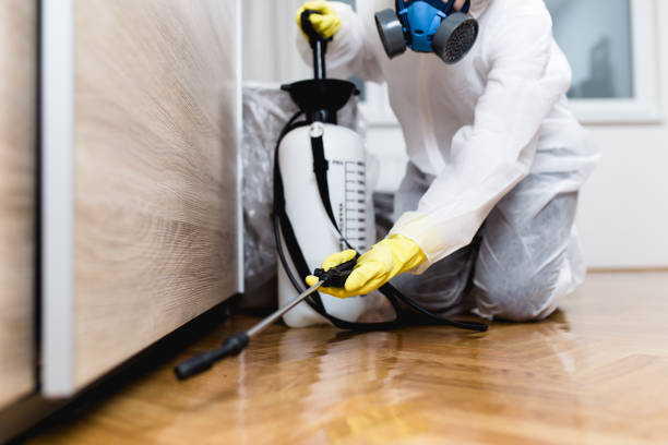 Best Local Pest Control Services  in Bellevue, WA