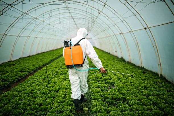 Best Pest Inspection Near Me  in Bellevue, WA