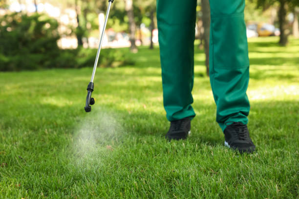 Best Pest Control Treatment  in Bellevue, WA